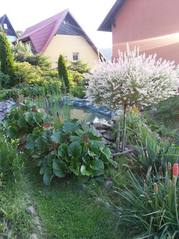 Noclegi U Andrzeja ดุสนิกิ สดรอย ภายนอก รูปภาพ